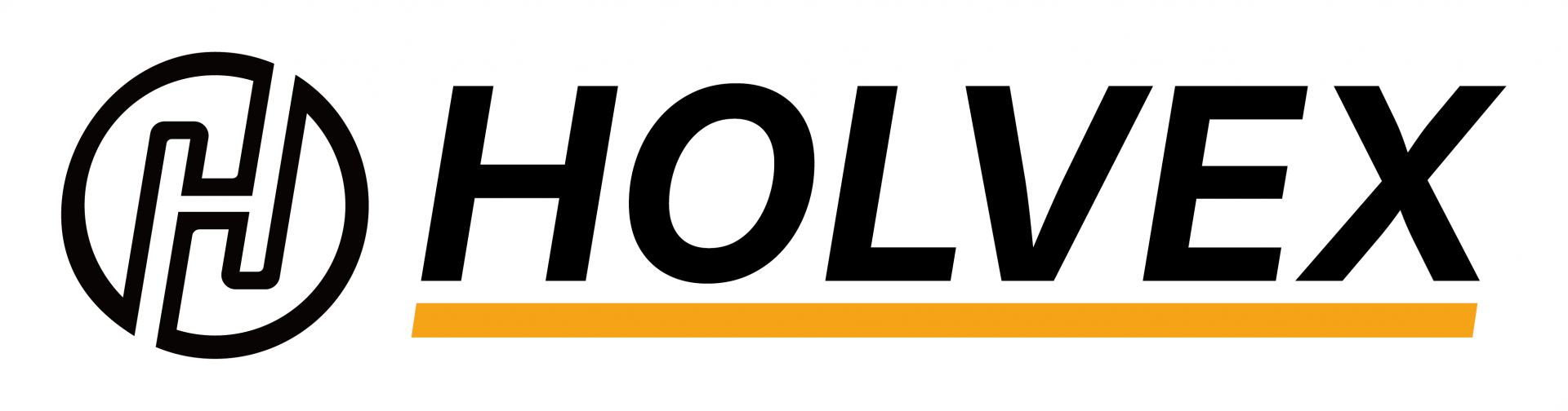 Holvex Logo